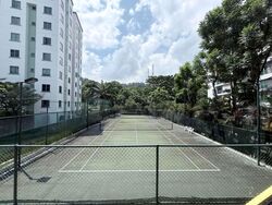 Springdale Condominium (D21), Condominium #589331351